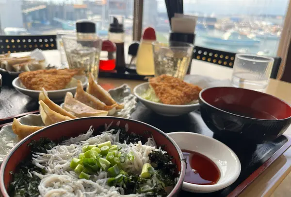 葉山餃子と岩のりしらす丼 葉山港湾食堂の写真・動画_image_1298245