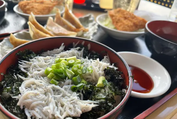 葉山餃子と岩のりしらす丼 葉山港湾食堂の写真・動画_image_1298246