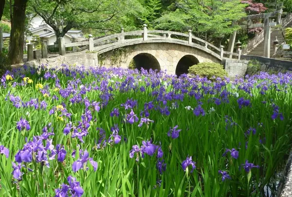 菅原神社