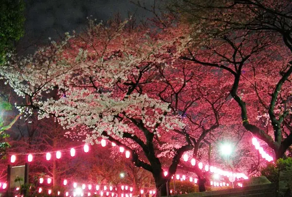 新井薬師公園