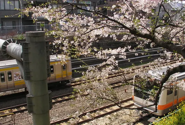 東中野駅周辺