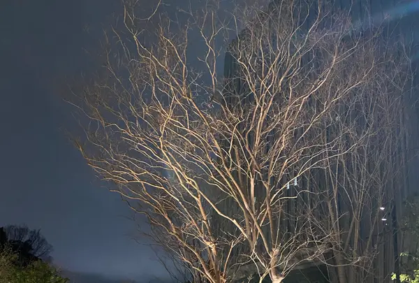 VMG CAFE 九段会館テラス Kudan Kaikan Terraceの写真・動画_image_1308007