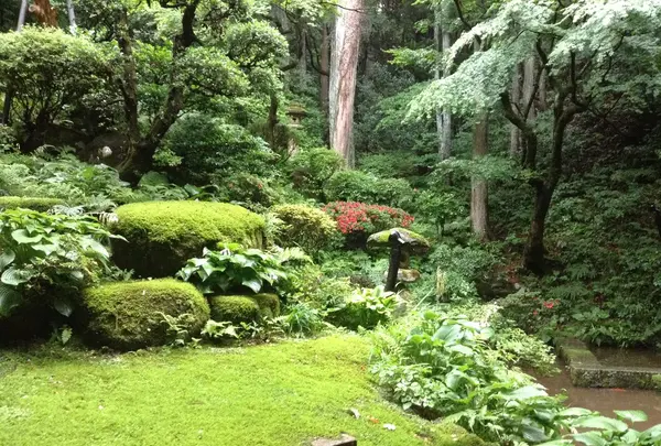 五頭今板温泉 湯本舘の写真・動画_image_131109