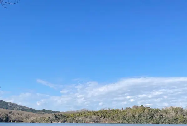 一碧湖の写真・動画_image_1311323