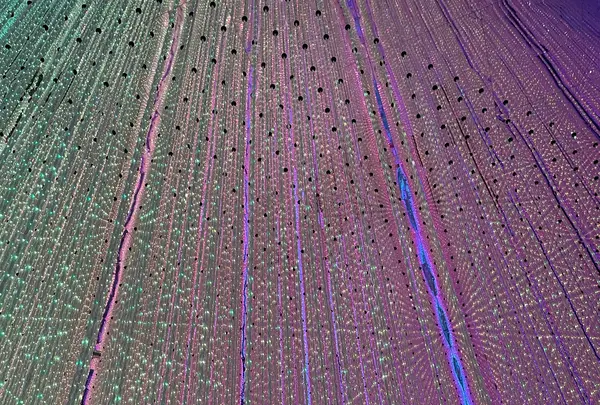 チームラボプラネッツ TOKYO (teamLab Planets TOKYO) DMMの写真・動画_image_1315897