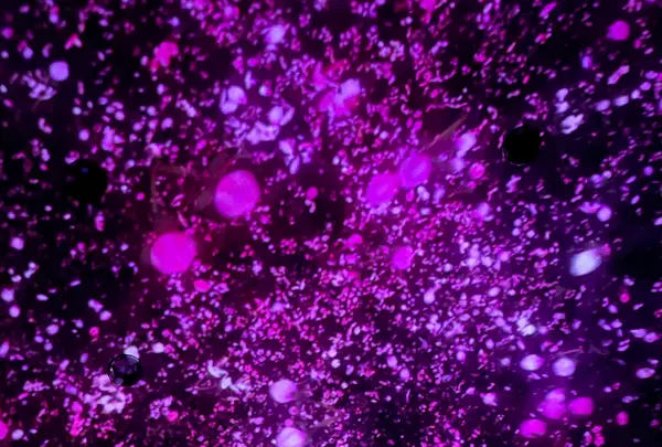 チームラボプラネッツ TOKYO (teamLab Planets TOKYO) DMMの写真・動画_image_1315899