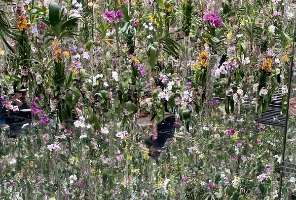 チームラボプラネッツ TOKYO (teamLab Planets TOKYO) DMMの写真・動画_image_1315900