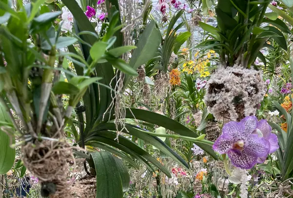 チームラボプラネッツ TOKYO (teamLab Planets TOKYO) DMMの写真・動画_image_1315901