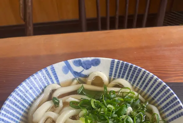 山下うどん店の写真・動画_image_1317422