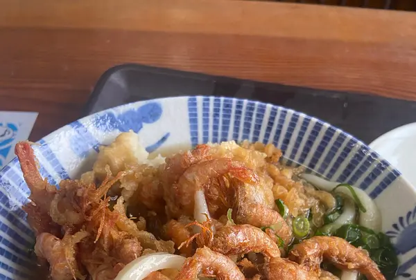 山下うどん店の写真・動画_image_1317424
