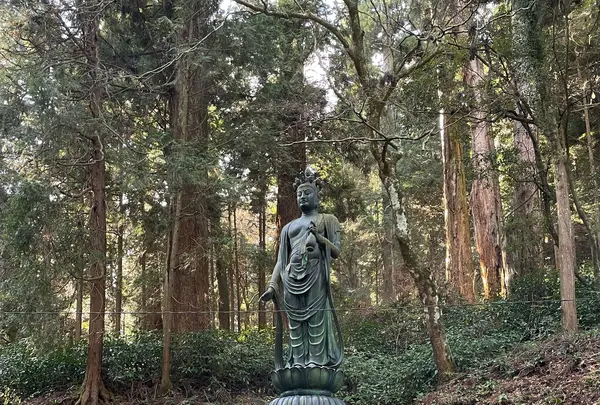 大雄山最乗寺の写真・動画_image_1318771