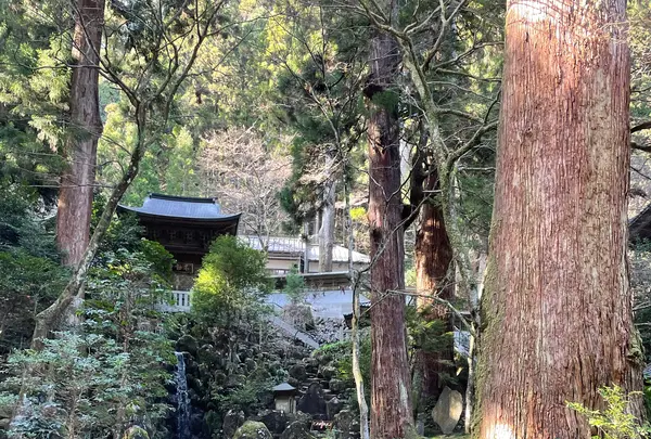大雄山最乗寺の写真・動画_image_1318774