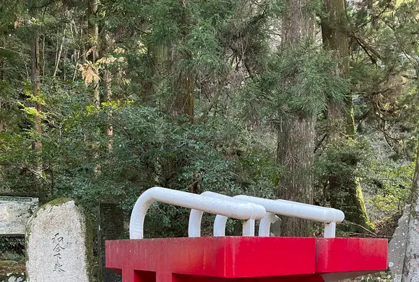 大雄山最乗寺の写真・動画_image_1318775