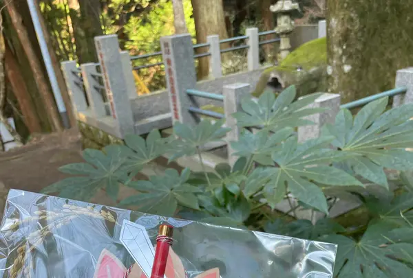 大雄山最乗寺の写真・動画_image_1318776