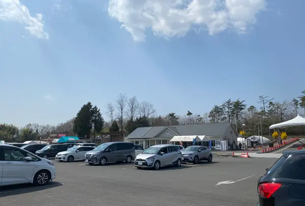 市貝町芝ざくら公園の写真・動画_image_1323651