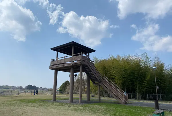 市貝町芝ざくら公園の写真・動画_image_1323655