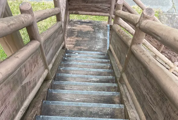 市貝町芝ざくら公園の写真・動画_image_1323656
