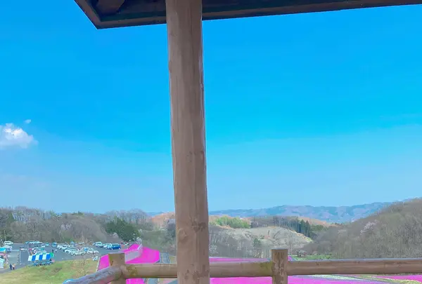市貝町芝ざくら公園の写真・動画_image_1323657