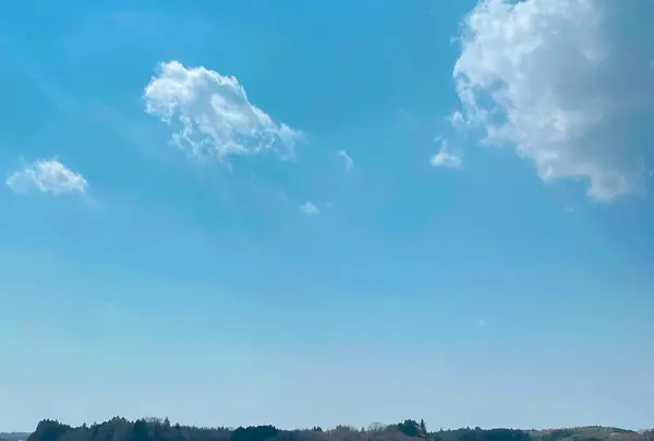 市貝町芝ざくら公園の写真・動画_image_1323658