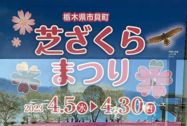 市貝町芝ざくら公園の写真・動画_image_1323659