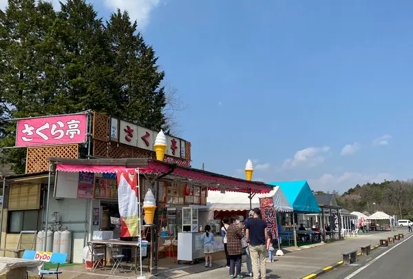 市貝町芝ざくら公園の写真・動画_image_1323660