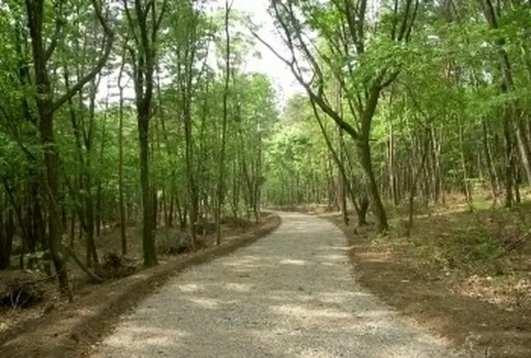 国営アルプスあづみの公園大町・松川地区