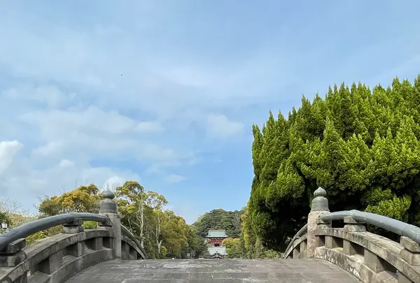 鶴岡八幡宮の写真・動画_image_1324224