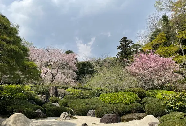 明月院（あじさい寺）の写真・動画_image_1324227