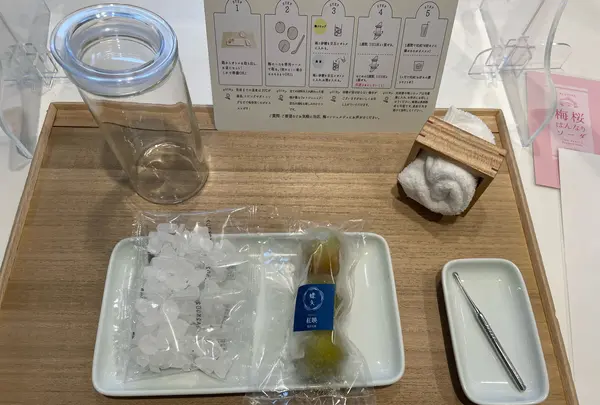 梅体験専門店　蝶屋　鎌倉店の写真・動画_image_1324239