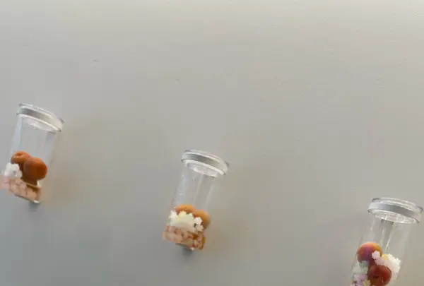 梅体験専門店　蝶屋　鎌倉店の写真・動画_image_1324242