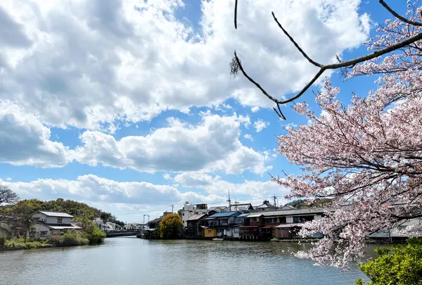浮橋の写真・動画_image_1327741