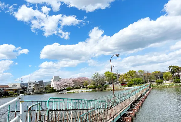 浮橋の写真・動画_image_1327743