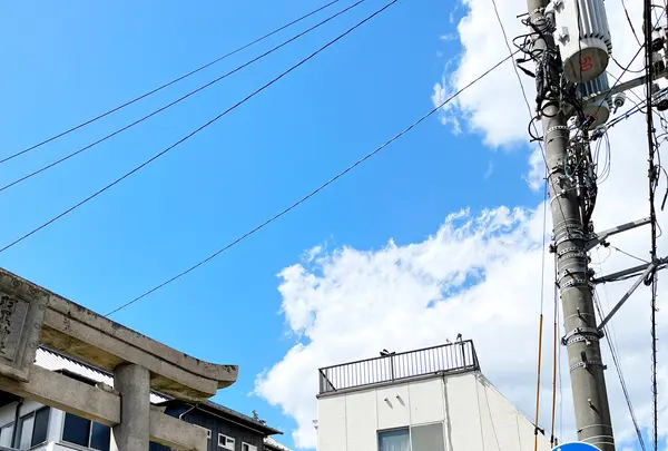 羽黒神社の写真・動画_image_1327744