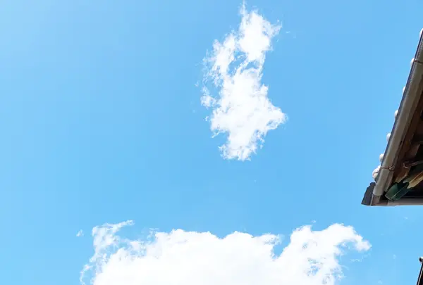 羽黒神社の写真・動画_image_1327748