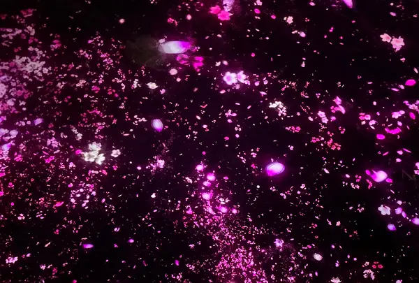 チームラボプラネッツ TOKYO (teamLab Planets TOKYO) DMMの写真・動画_image_1327794