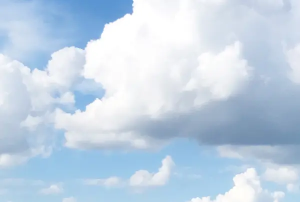 雌島の写真・動画_image_1327801