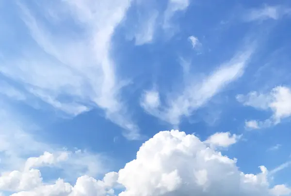 雌島の写真・動画_image_1327803