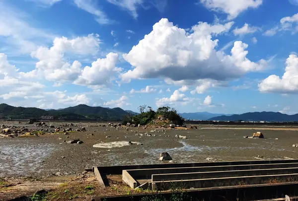 雌島の写真・動画_image_1327806