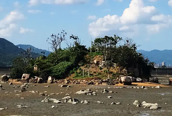 雌島の写真・動画_image_1327807