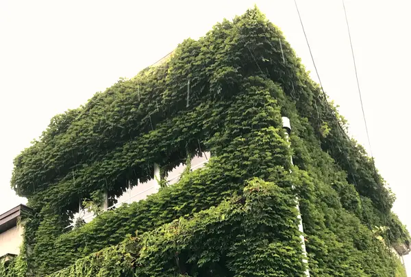 カフェストラグルの写真・動画_image_1327817