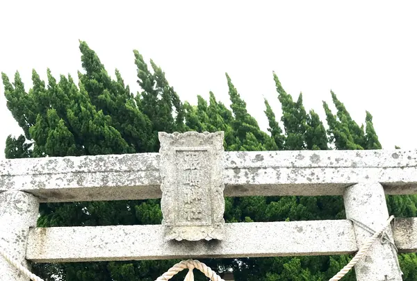 弁天神社の写真・動画_image_1327829