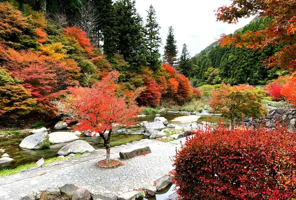 滝ノ口河川公園の写真・動画_image_1327847