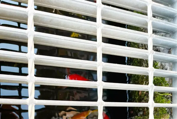 喫茶 ルフランの写真・動画_image_1327854