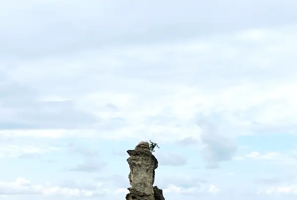 掛戸松島の写真・動画_image_1328004