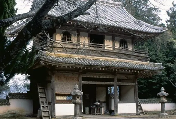 大照院の写真・動画_image_1329836