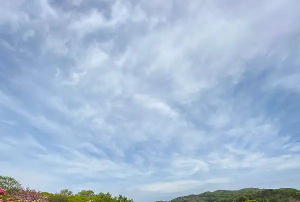 あしかがフラワーパークの写真・動画_image_1330563