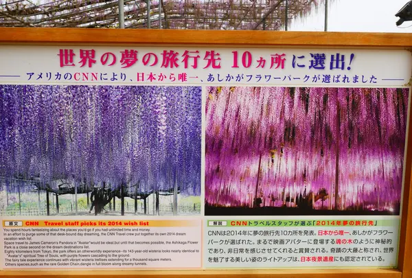 あしかがフラワーパークの写真・動画_image_1331946