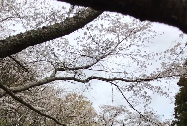 泉自然公園の写真・動画_image_1333844