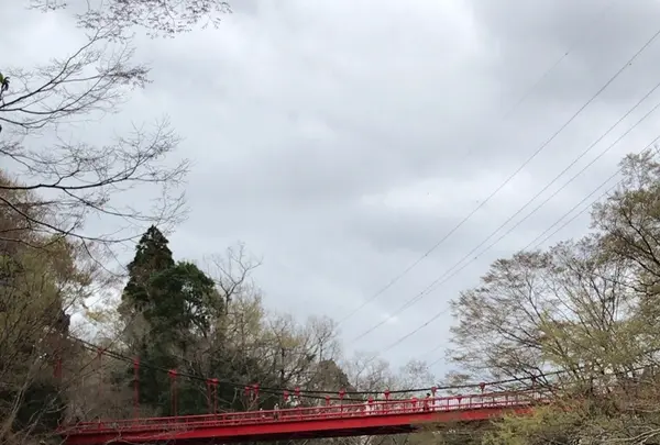 泉自然公園の写真・動画_image_1333847