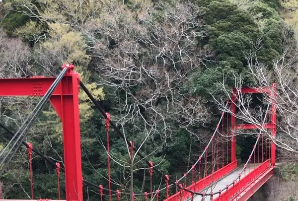 泉自然公園の写真・動画_image_1333848